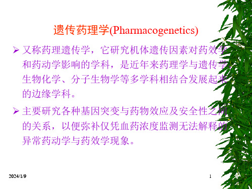 最新第11章 遗传药理学和临床合理用药-PPT文档