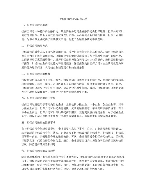 担保公司融资知识点总结