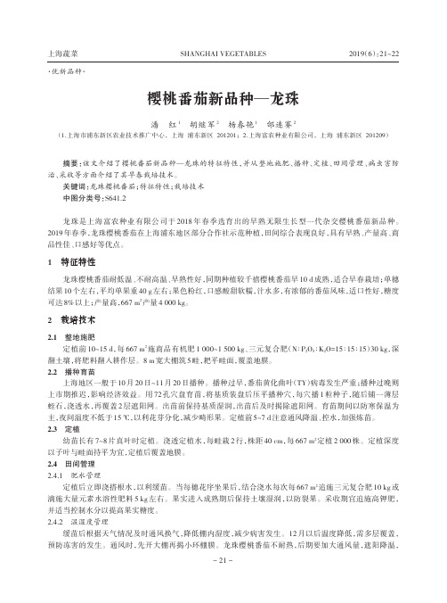樱桃番茄新品种——龙珠
