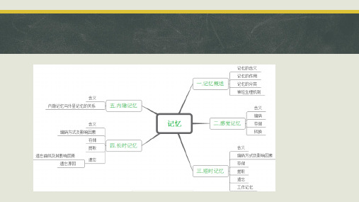 普通心理学 第七章 思维ppt课件