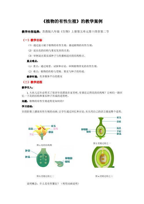 植物的有性生殖的教学案例