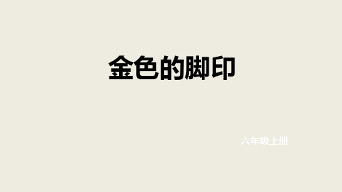 六年级上册语文课件24.金色的脚印｜人教新课标 (共33张PPT)