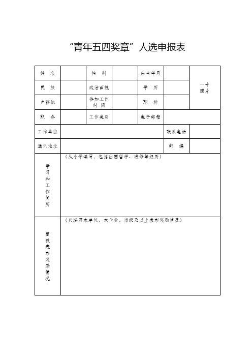 “青年五四奖章”人选申报表