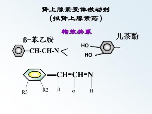 药理学第八,九章  肾上腺素类