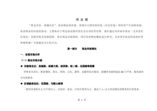 商业街项目建议书共41页word资料