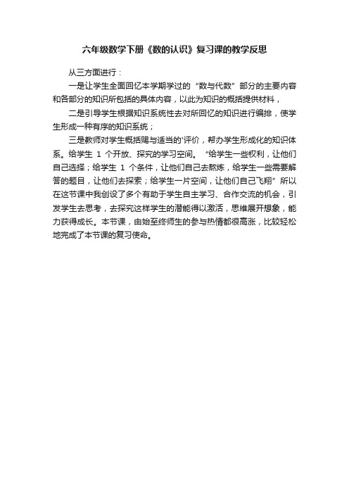 人教版六年级数学下册《数的认识》复习课的教学反思