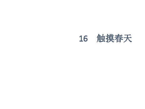 四年级下册语文课件17 触摸春天∣人教新课标 (共9张PPT)