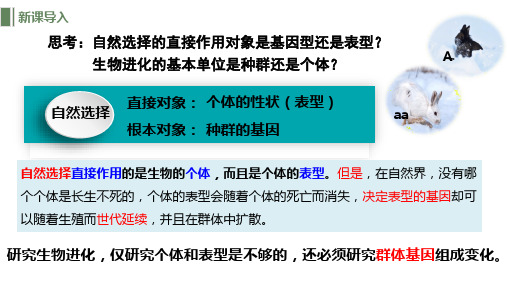 6.3.1种群基因组成的变化与物种的形成 (教学课件)-高一生物人教版必修二