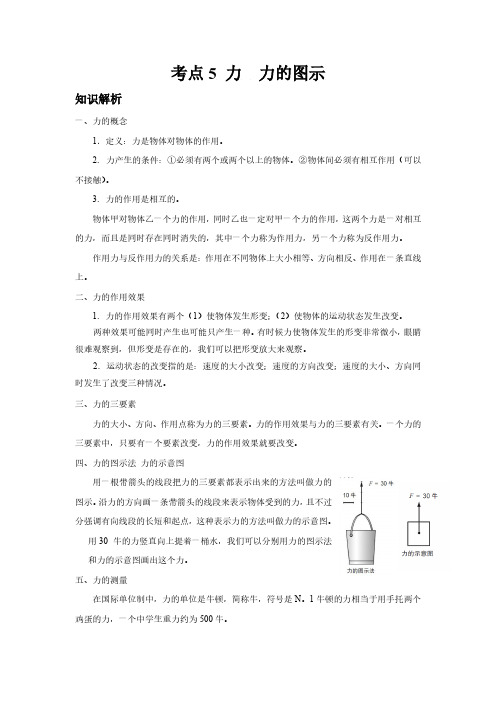 考点5 力  力的图示