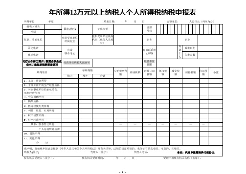 年所得12万元以上所得税申报表