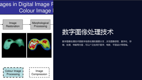 《数字图像处理技术》课件