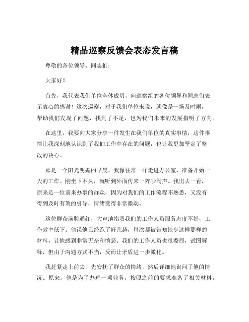 精品巡察反馈会表态发言稿