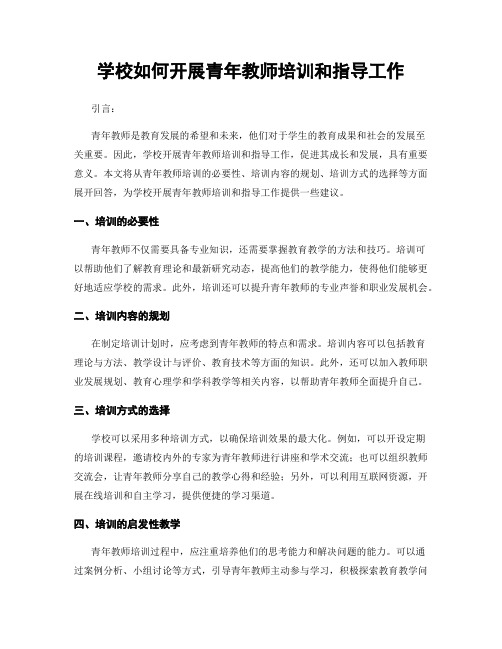 学校如何开展青年教师培训和指导工作