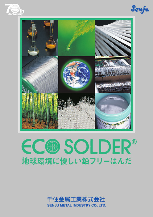 SMIC-ECO-J20080925彩页