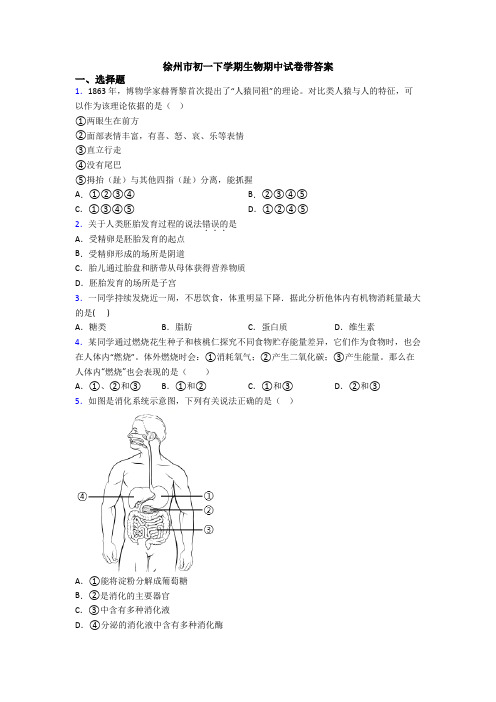 徐州市初一下学期生物期中试卷带答案