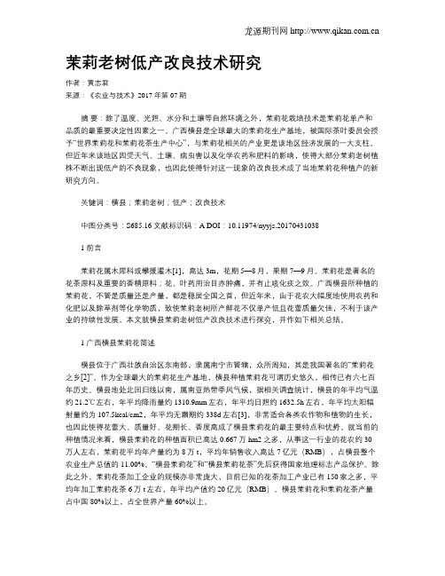 茉莉老树低产改良技术研究