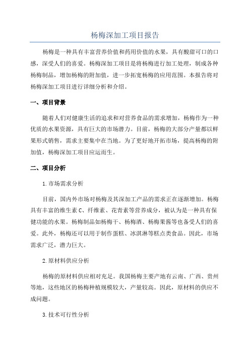 杨梅深加工项目报告