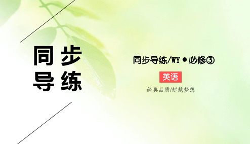 2019-2020学年外研版高中英语必修三同步课件:Module 6 Old and New6-4