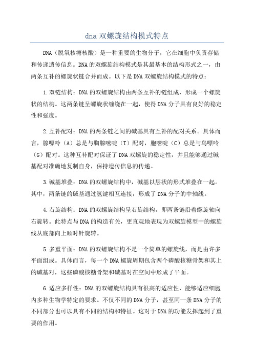 dna双螺旋结构模式特点