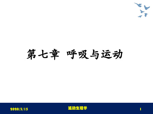 运动生理学课件第七章呼吸与运动