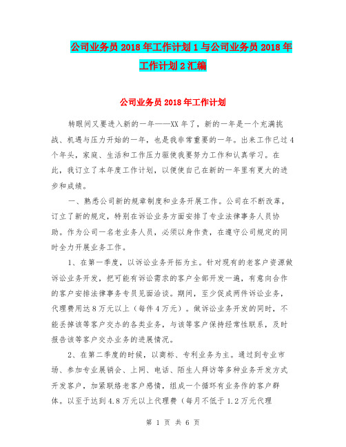 公司业务员2018年工作计划1与公司业务员2018年工作计划2汇编.doc