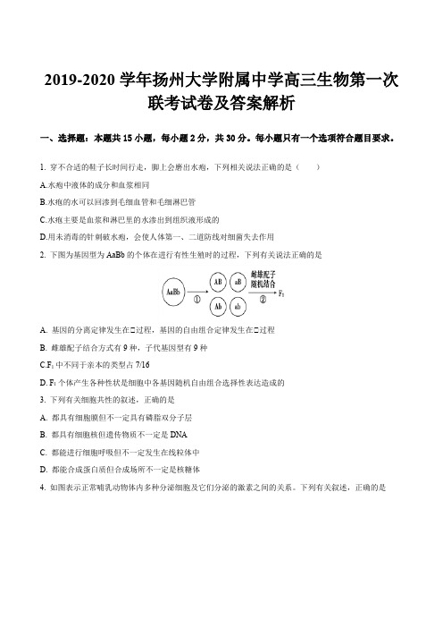 2019-2020学年扬州大学附属中学高三生物第一次联考试卷及答案解析