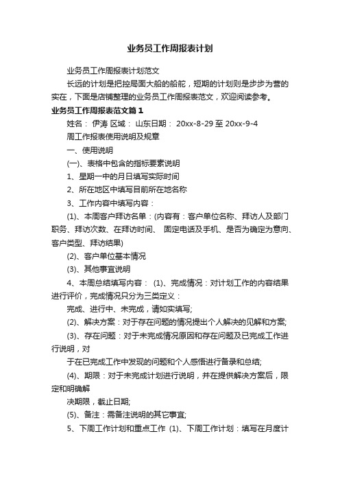 业务员工作周报表计划