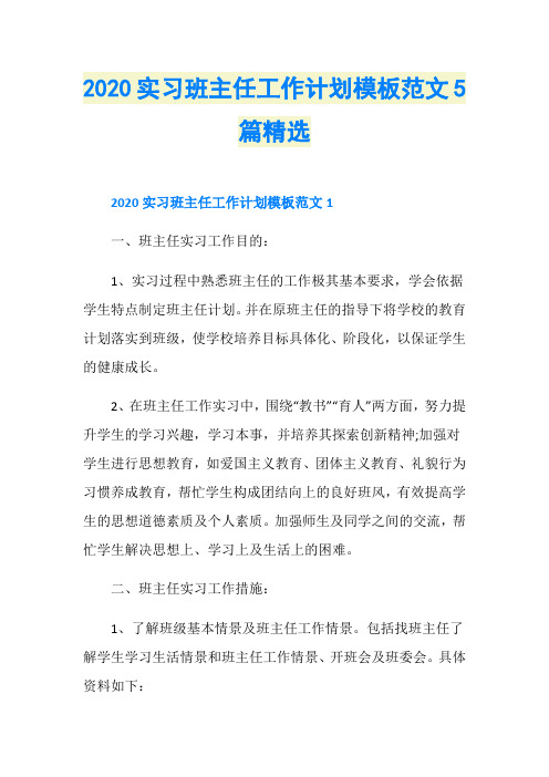 2020实习班主任工作计划模板范文5篇精选