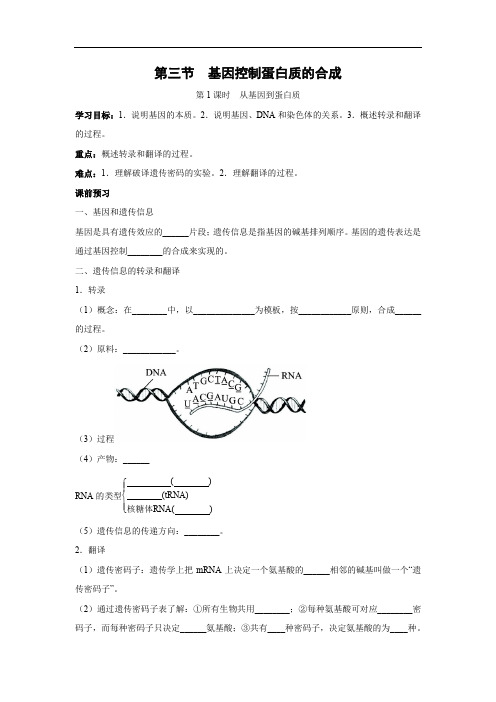 从基因到蛋白质