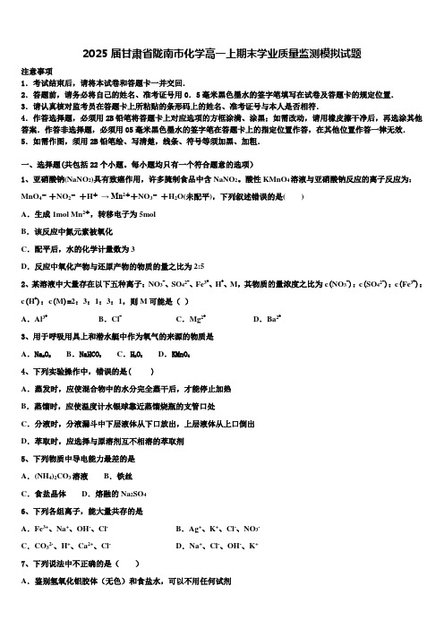 2025届甘肃省陇南市化学高一上期末学业质量监测模拟试题含解析