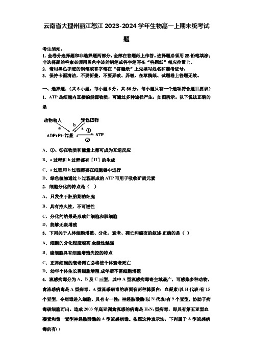 云南省大理州丽江怒江2023-2024学年生物高一上期末统考试题含解析