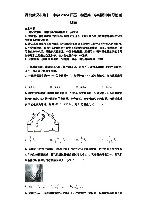 湖北武汉市第十一中学2024届高二物理第一学期期中复习检测试题含解析