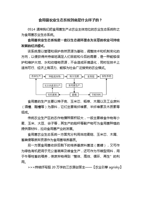 食用菌农业生态系统到底是什么样子的？