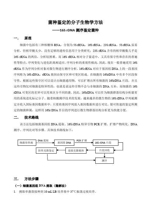 菌种鉴定的分子生物学方法