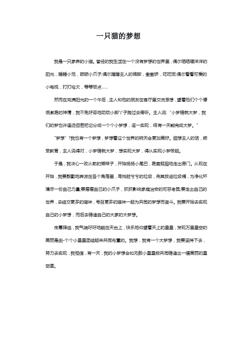 一只猫的梦想五个梦想的作文