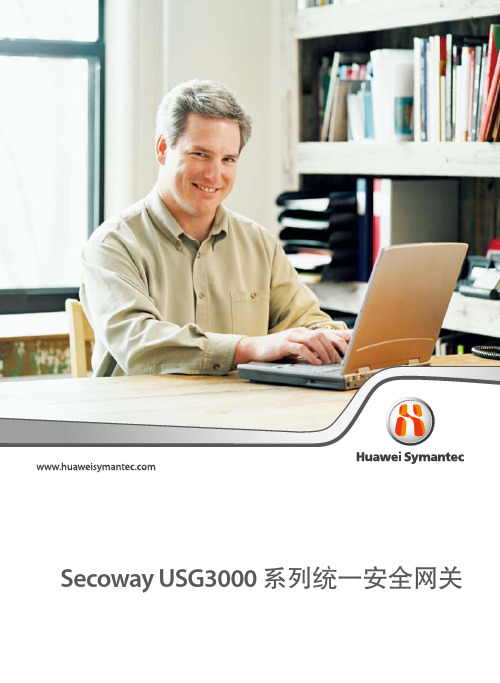 HUAWEI SecowayUSG3000系列统一安全网关 说明书