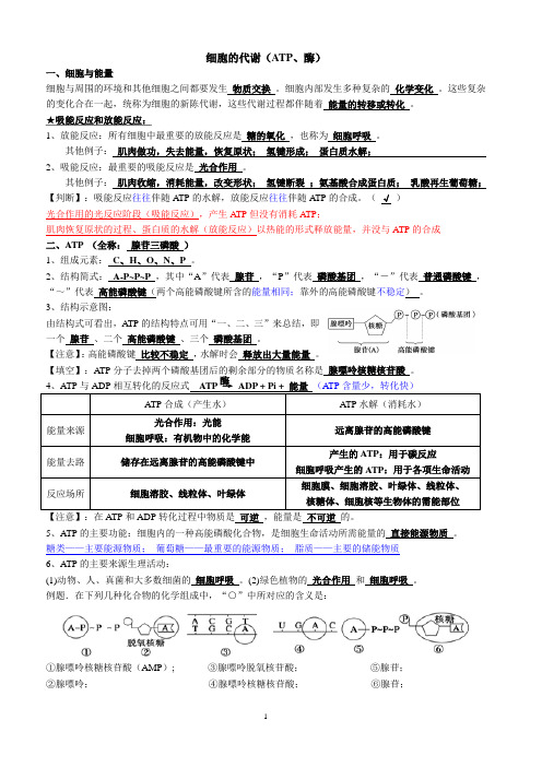 高三一轮复习生物：导学案3ATP、酶