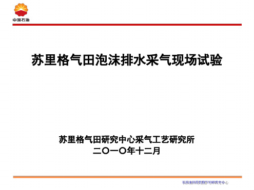 苏里格气田泡沫排水采气现场试验资料