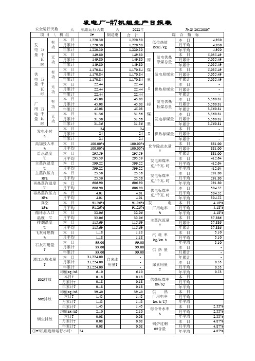 火力发电厂生产日报表