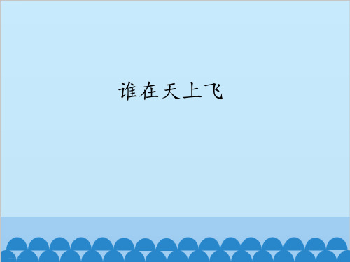 四年级下册科学课件谁在天上飞大象版(共19张PPT)