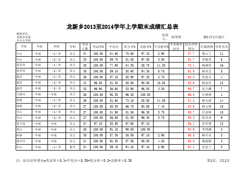 龙新乡2013至2014学年上学期末成绩汇总表