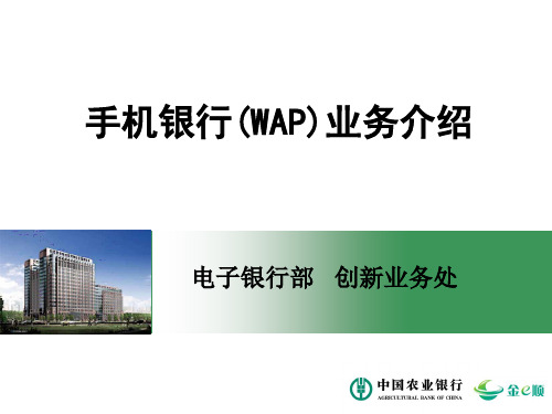 中国农业银行手机银行(WAP)业务介绍