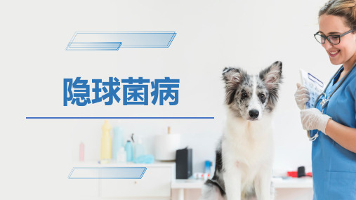 犬猫的传染病(隐球菌病)-宠物医生课件