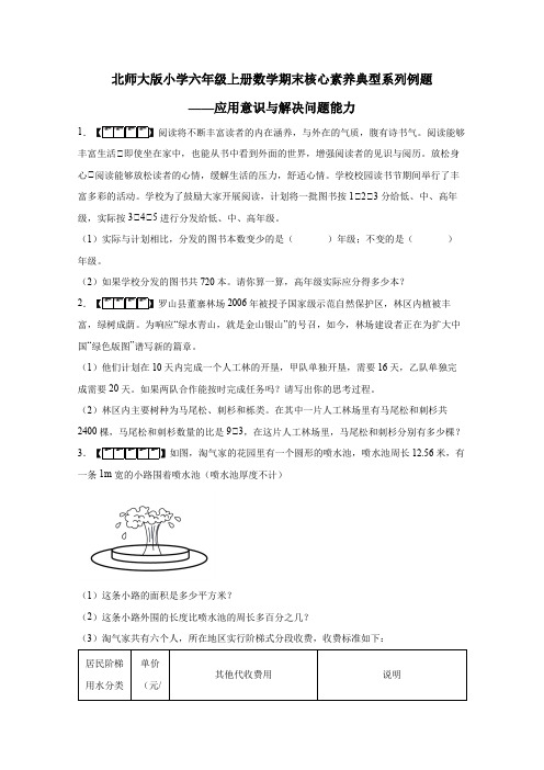 北师大版六年级上册数学期末核心素养典型系列例题——应用意识与解决问题能力(含解析)