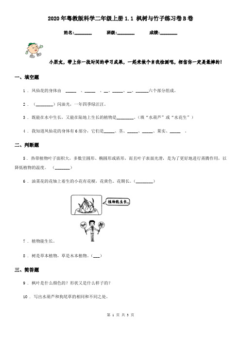 2020年粤教版科学二年级上册1.1 枫树与竹子练习卷B卷