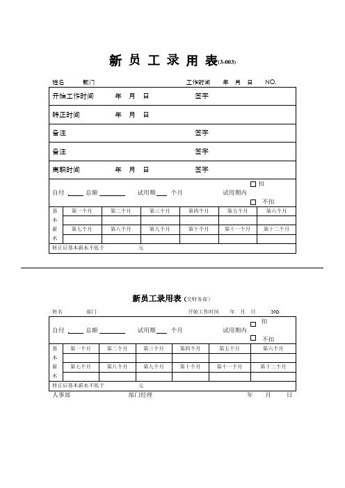 3-003新员工录用表