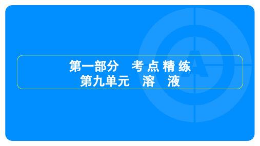 2025年中考化学总复习第一部分考点精练第九单元溶液