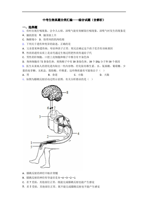 中考生物真题分类汇编——综合试题(含解析)