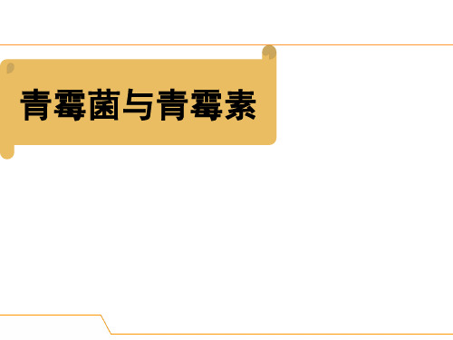 2.6 青霉菌与青霉素