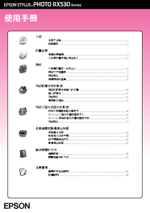 EPSON PHOTO RX530 Series 说明书